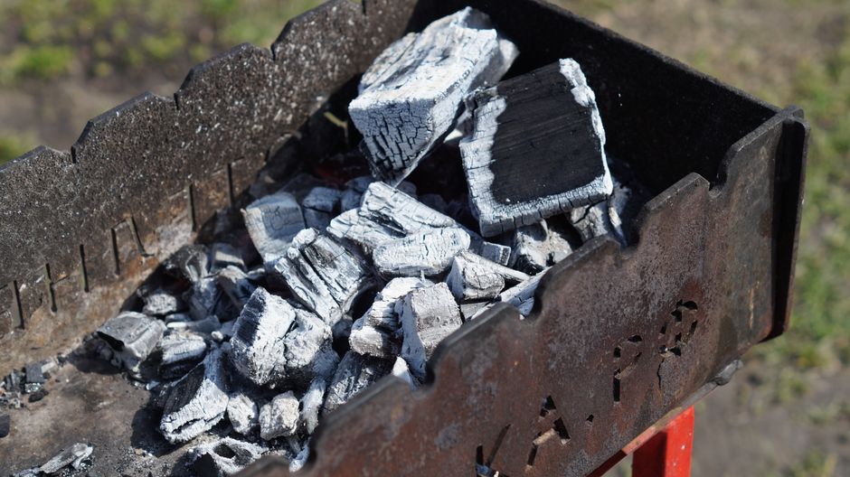 Charcoal Versus Wood: Choosing the Right Fuel for Your Cook