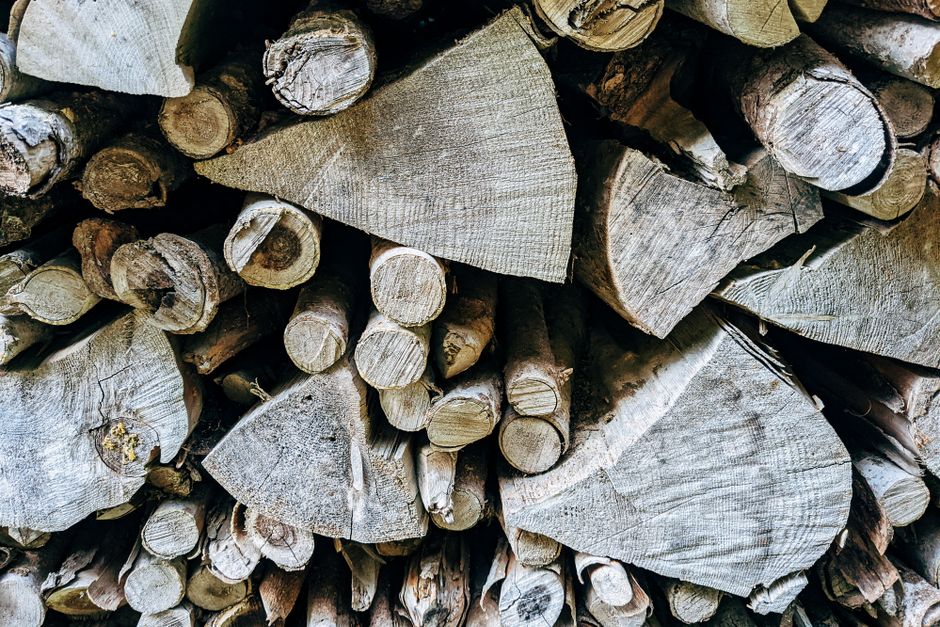 Understanding Wood: A Guide to Choosing Splits for Flavor and Heat